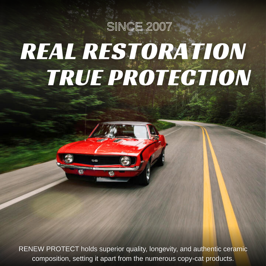 DASH - Permanent Interior Protectant & Dash Repair