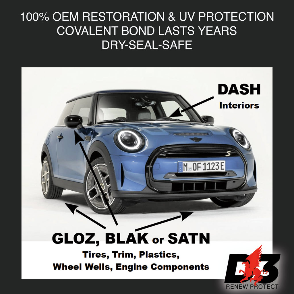 DASH - Permanent Interior Protectant & Dash Repair